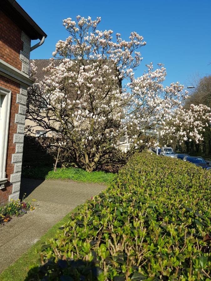 Gartenblick 올덴부르크 외부 사진